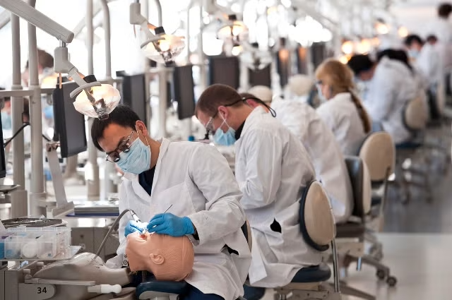 img/schools/dental-school.png