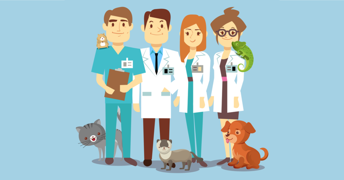 choosing the right vet school