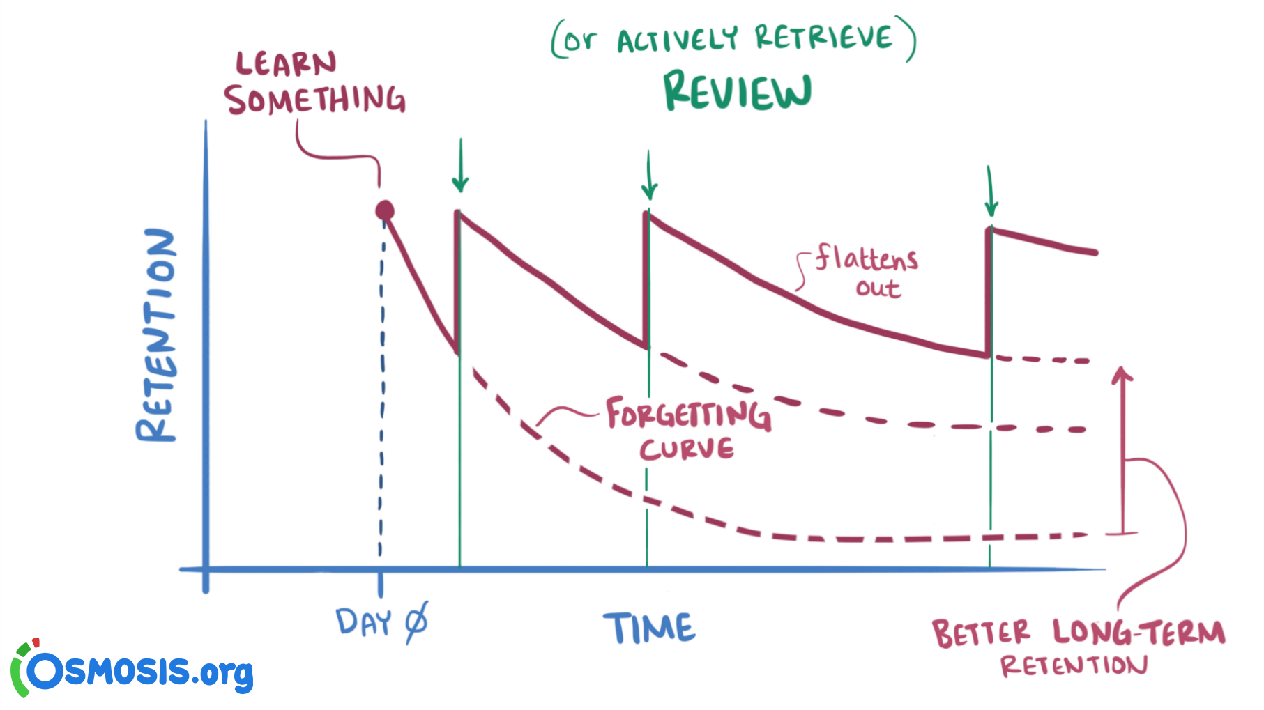 spaced repetition forgetting curve