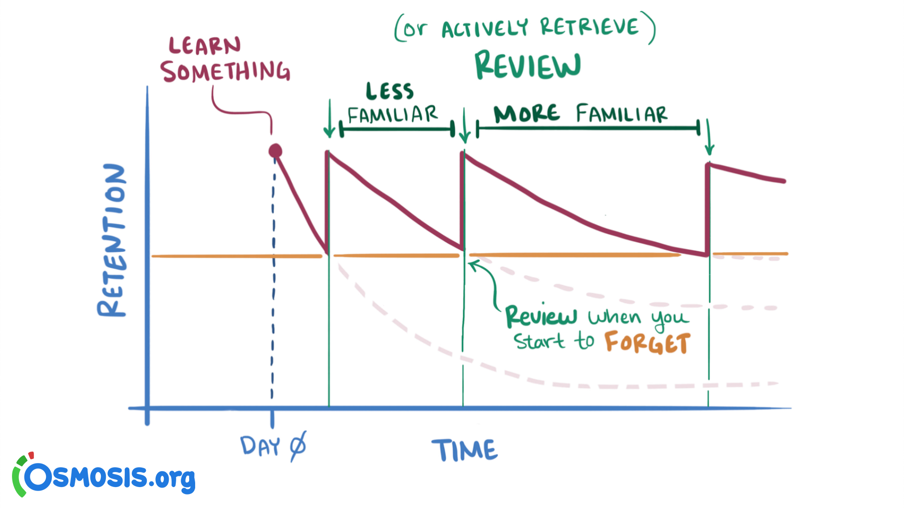 spaced repetition timing