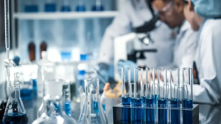 Summer Research Experiences