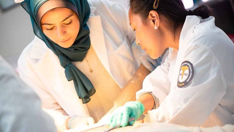 Cadaver Lab